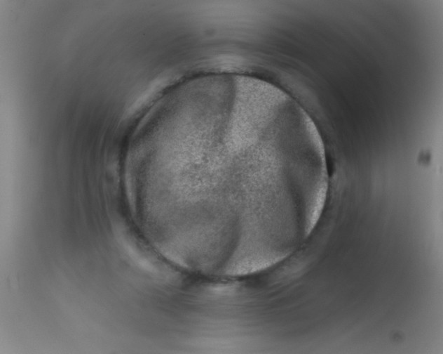 X0000113860306200910151242