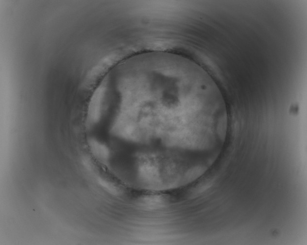 X0000113860307200910151242