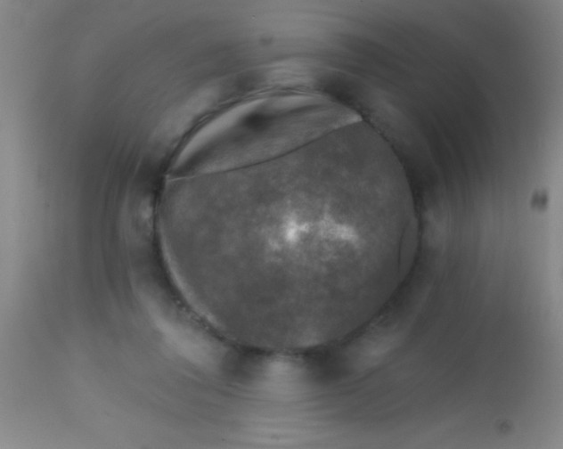 X0000113860308200910151242