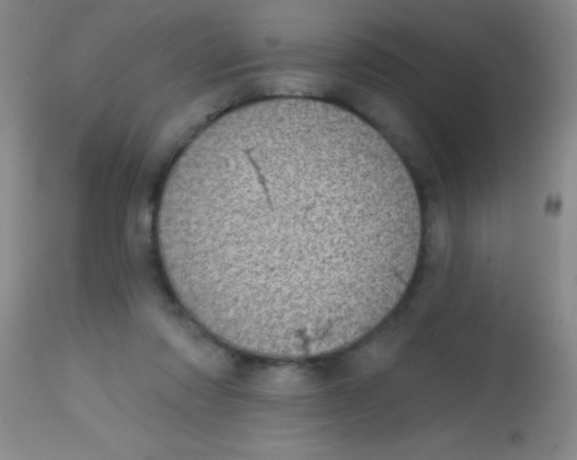 X0000113860310200910151242