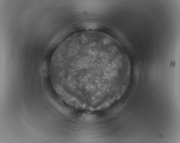 X0000113860311200910151242