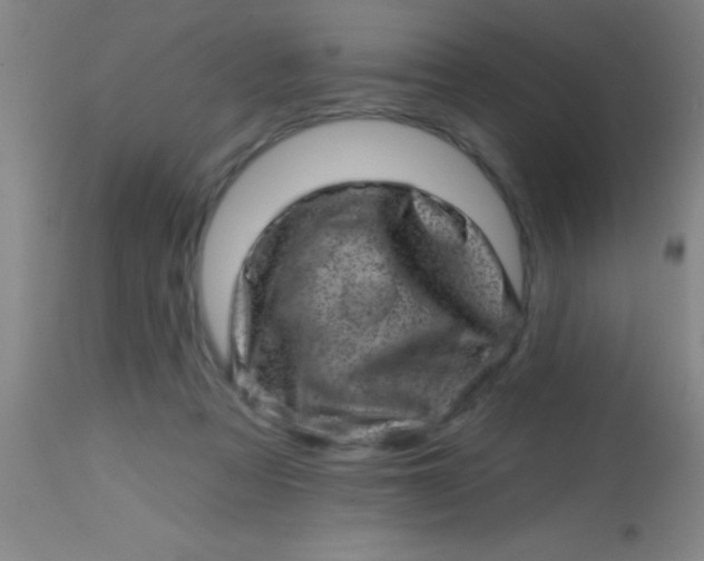 X0000113860313200910151242