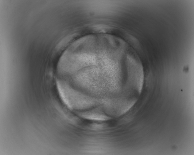 X0000113860314200910151242