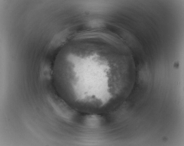 X0000113860316200910151242