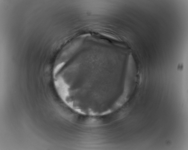 X0000113860319200910151242