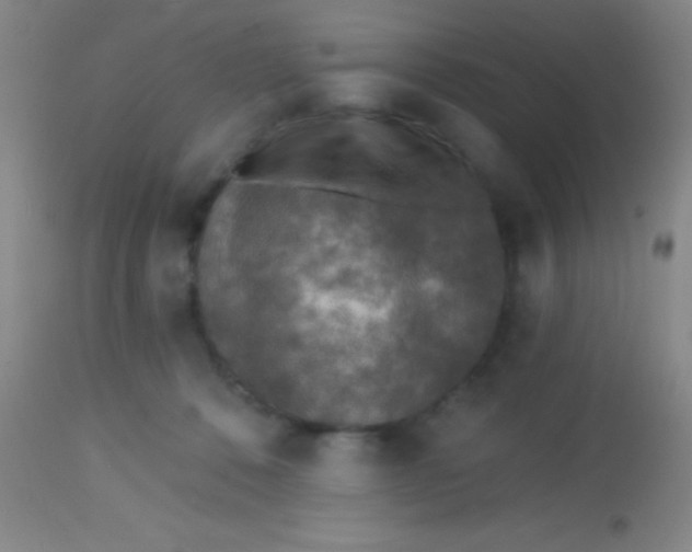 X0000113860320200910151242