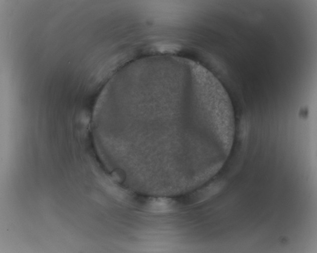 X0000113860321200910151242