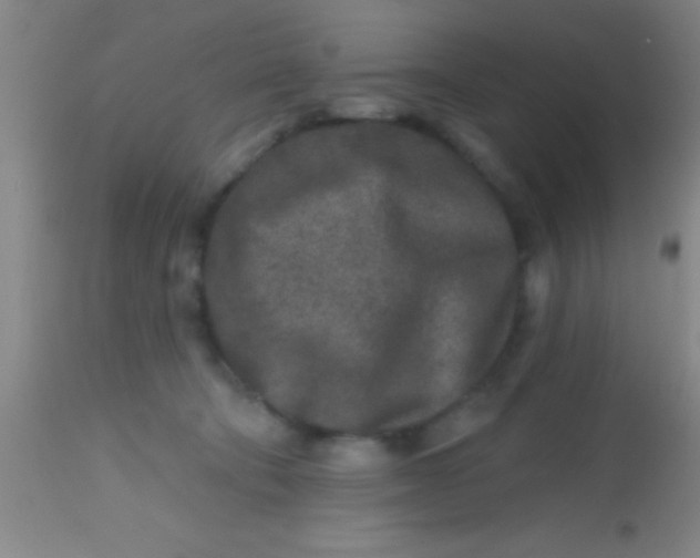 X0000113860322200910151242