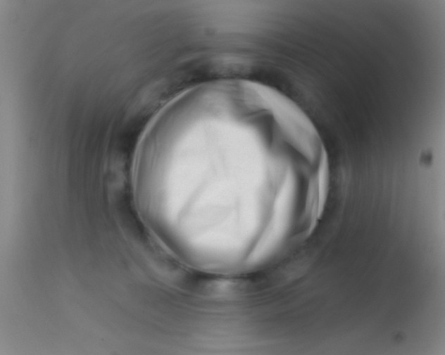 X0000113860323200910151242