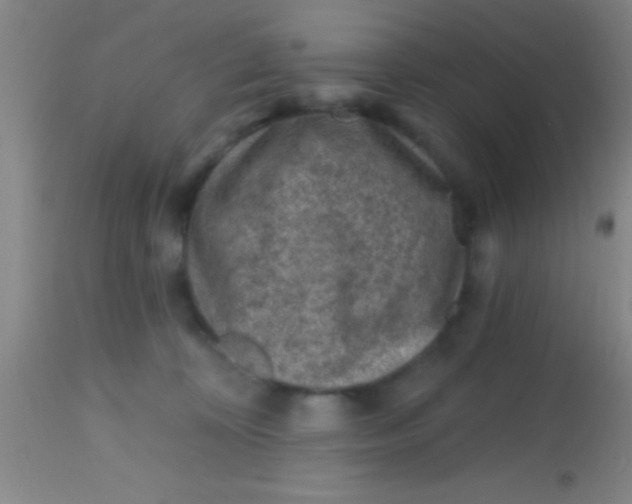 X0000113860324200910151242