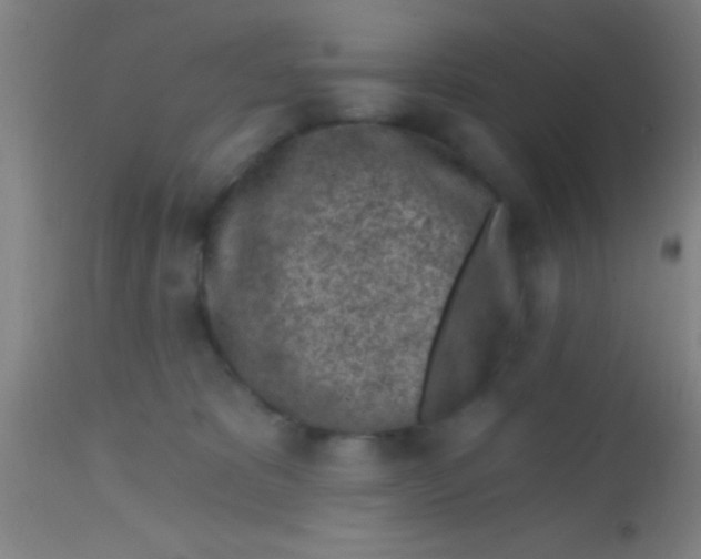 X0000113860325200910151242