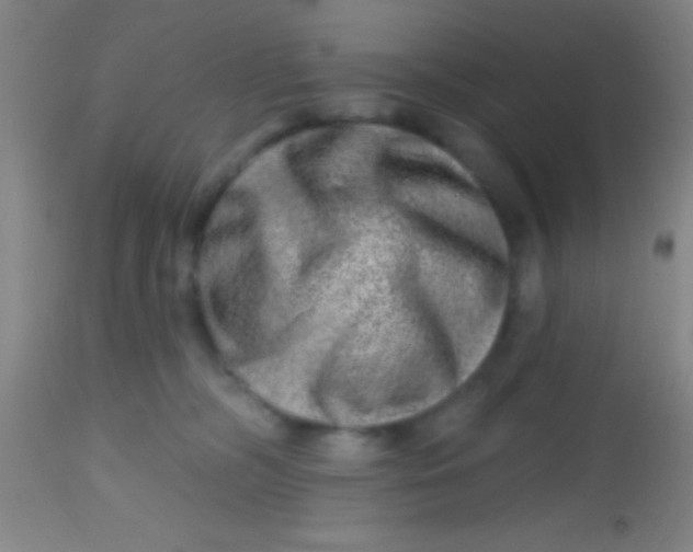 X0000113860326200910151242
