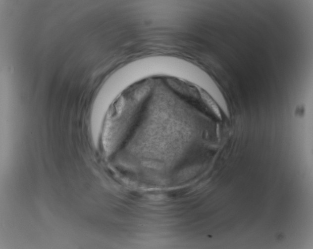 X0000113860327200910151242