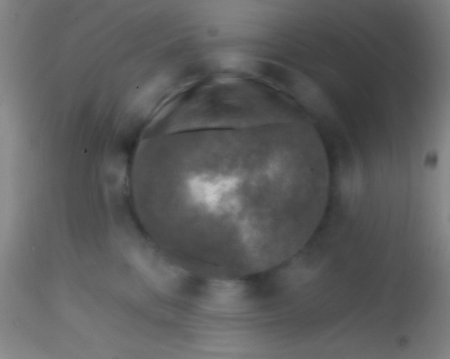 X0000113860328200910151242