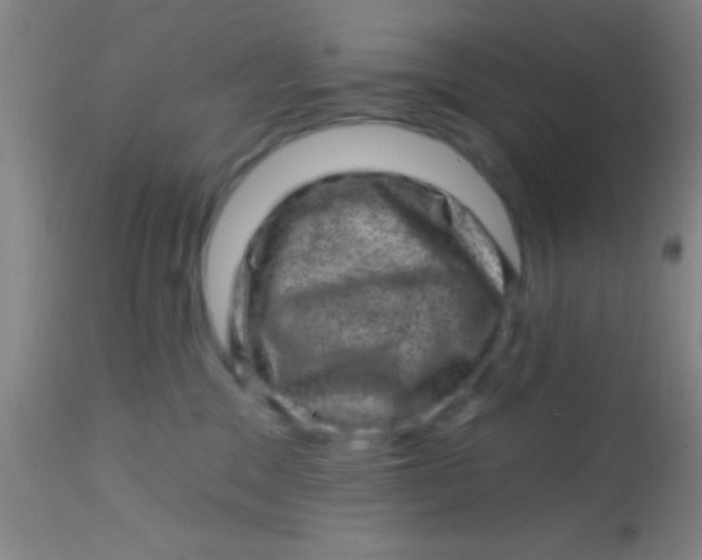 X0000113860329200910151242