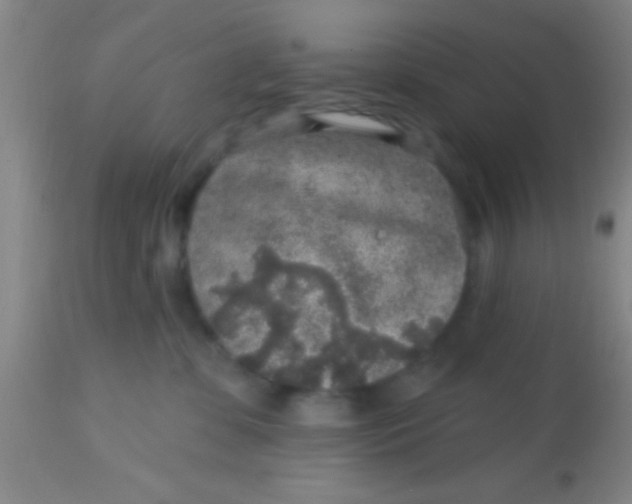 X0000113860331200910151242