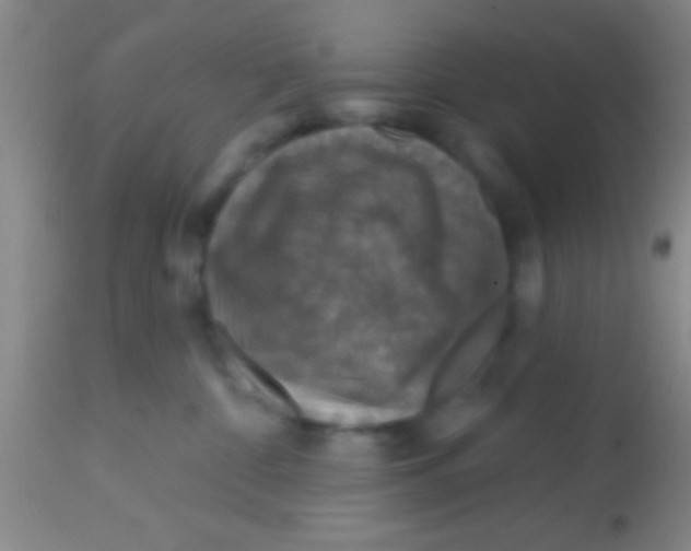 X0000113860332200910151242