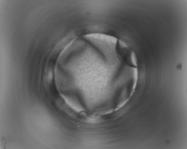 X0000113860334200910151242