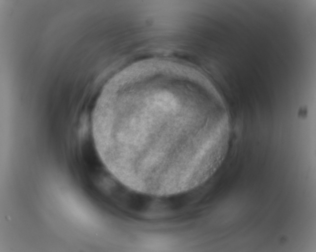 X0000113860335200910151242