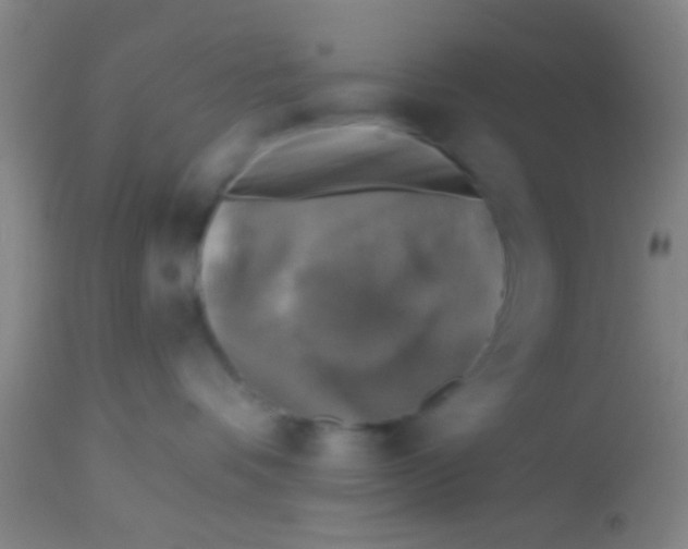 X0000113860336200910151242