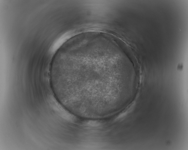 X0000113860341200910151241