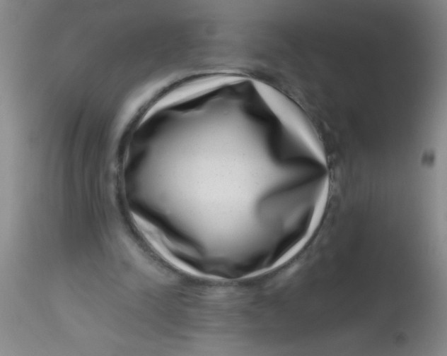 X0000113860342200910151241