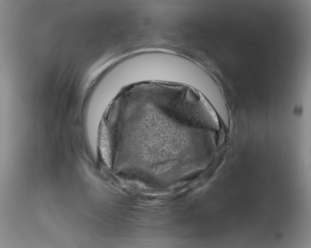 X0000113860344200910151241