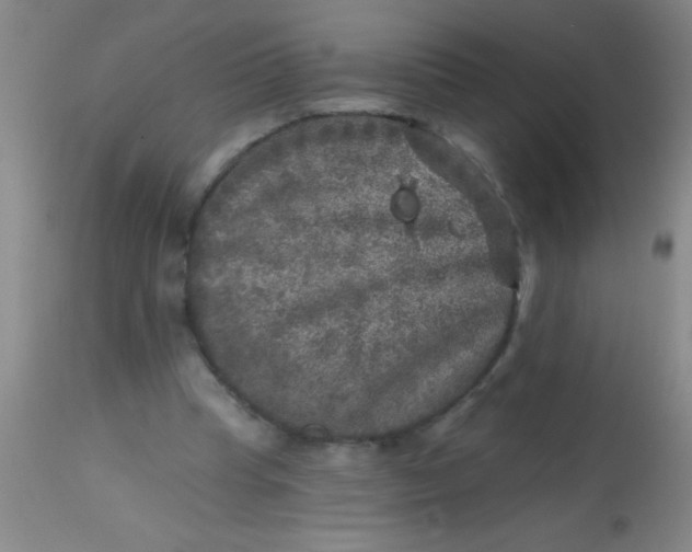 X0000113860345200910151241