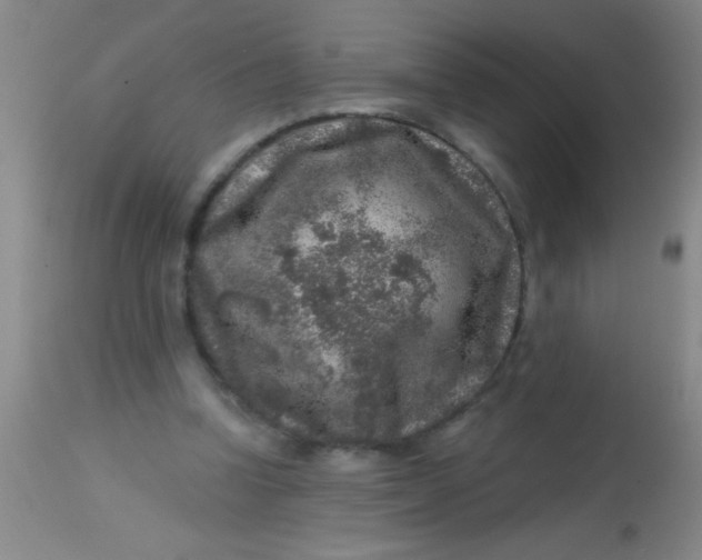 X0000113860346200910151241