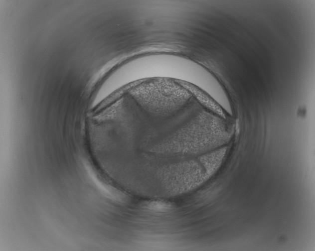 X0000113860348200910151241