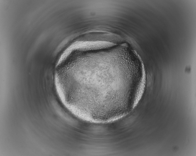 X0000113860349200910151241