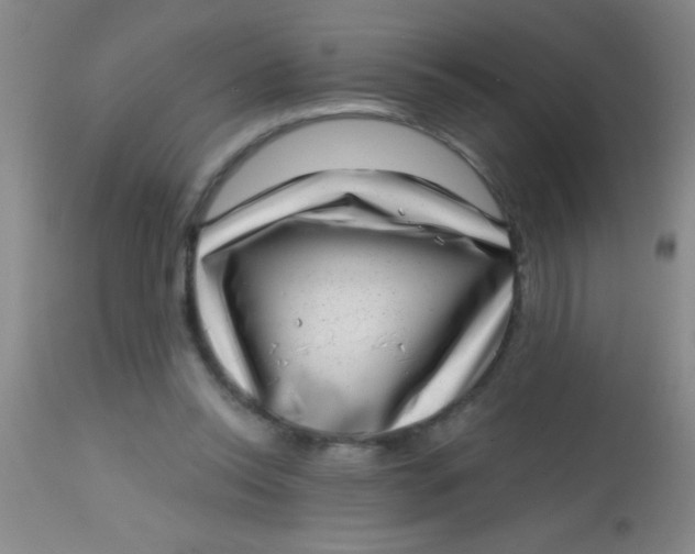 X0000113860350200910151241