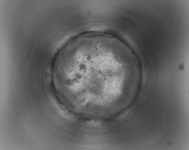 X0000113860354200910151241