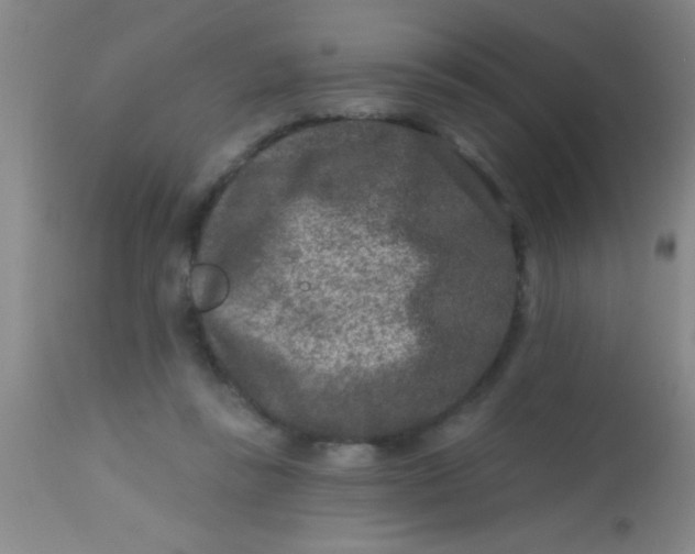 X0000113860355200910151241