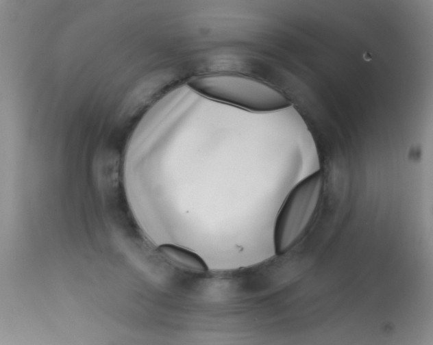 X0000113860356200910151241