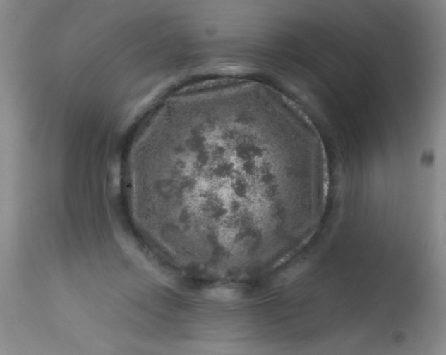 X0000113860358200910151241