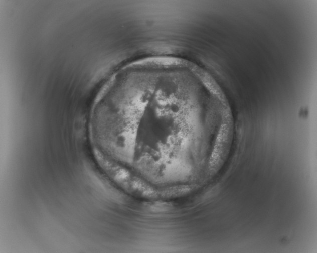 X0000113860359200910151241