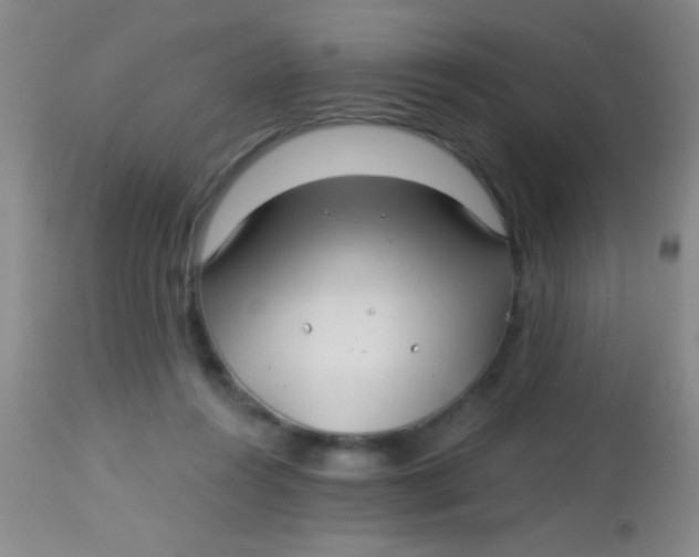 X0000113860360200910151241