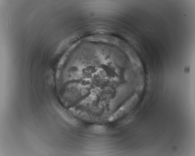 X0000113860361200910151241