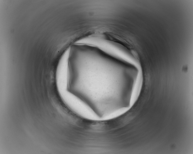 X0000113860362200910151241
