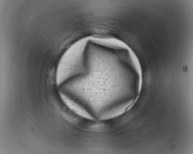 X0000113860364200910151242