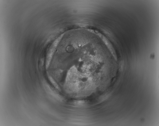 X0000113860365200910151242