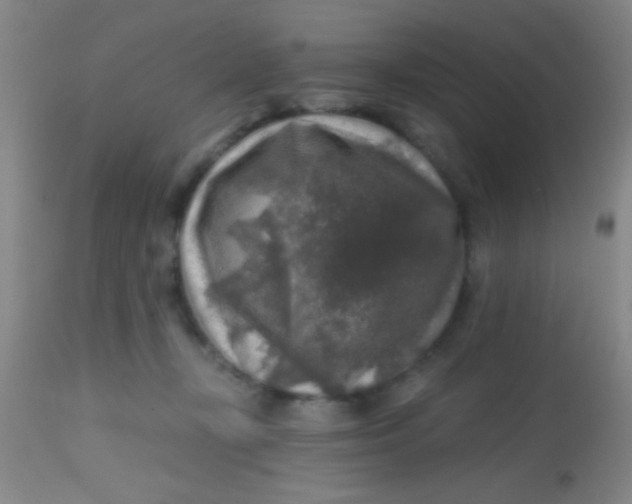 X0000113860367200910151242