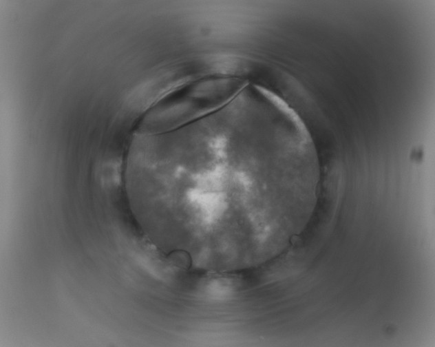 X0000113860368200910151242