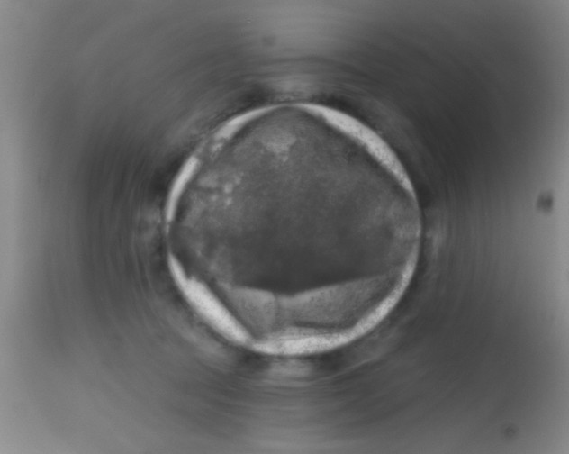 X0000113860369200910151242