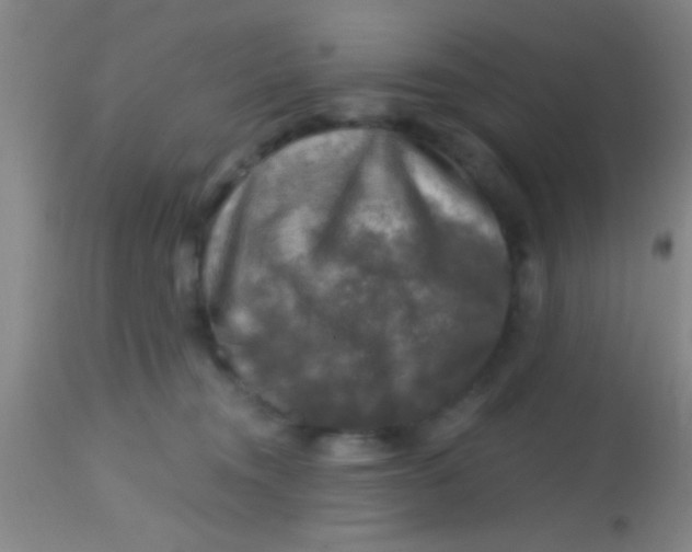 X0000113860372200910151242