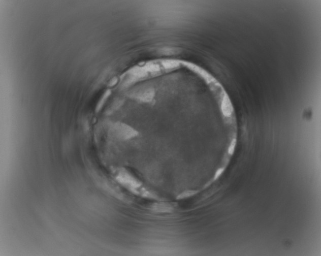 X0000113860373200910151242