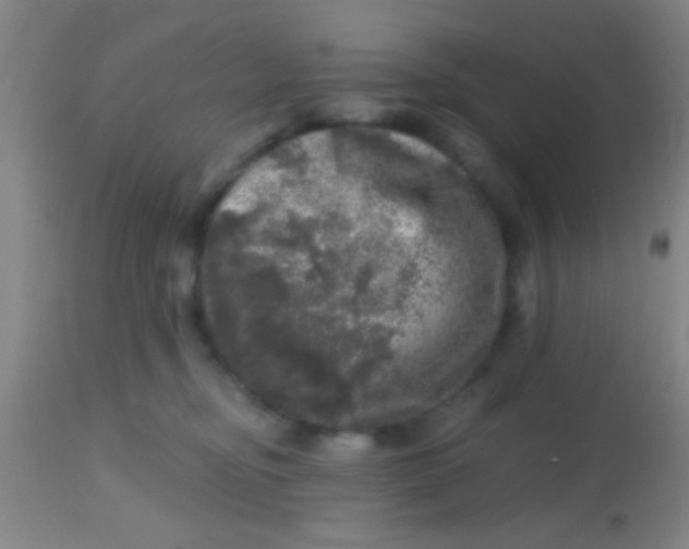 X0000113860374200910151242