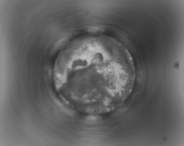 X0000113860375200910151242