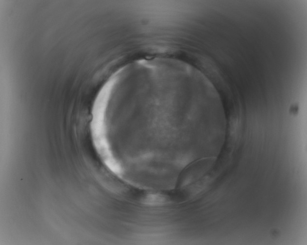 X0000113860376200910151242